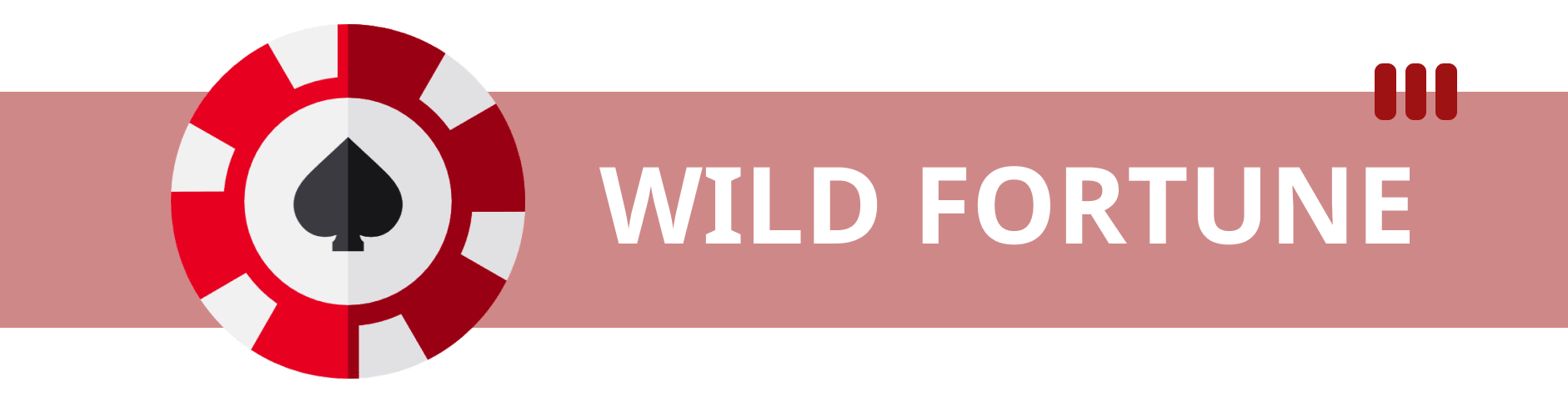 Wild Fortune Casino Main Banner.